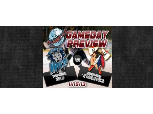 Planet Ice Gameday Preview: November 15, 2013