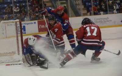 Tomahawks Fall to Warriors in Physical Game 4-2