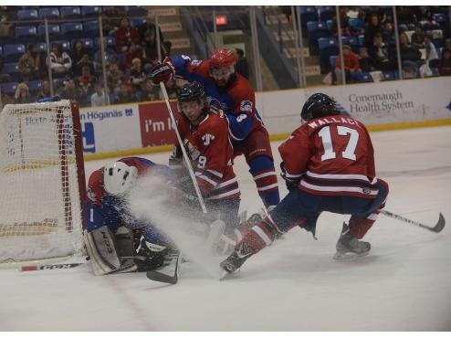 Tomahawks Fall to Warriors in Physical Game 4-2