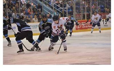 Tomahawks Fall To Fighting Falcons 4-3