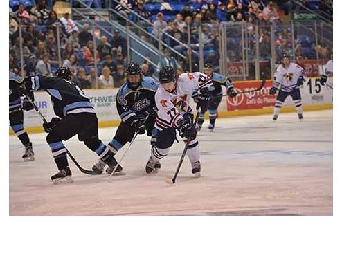 Tomahawks Fall To Fighting Falcons 4-3