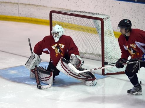 Tomahawks goaltender Bednard picked for All-American Prospects Game