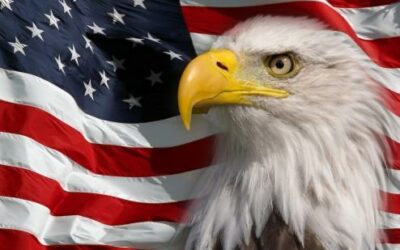 Tomahawks Offer Free Tickets To Active Military/Veterans For This Sunday's Game
