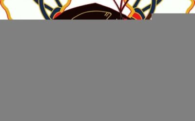 Tomahawks Showcase A Success