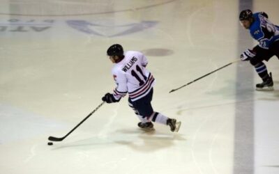 Nichols, Wild Defeat Tomahawks, 3-1, Friday Night