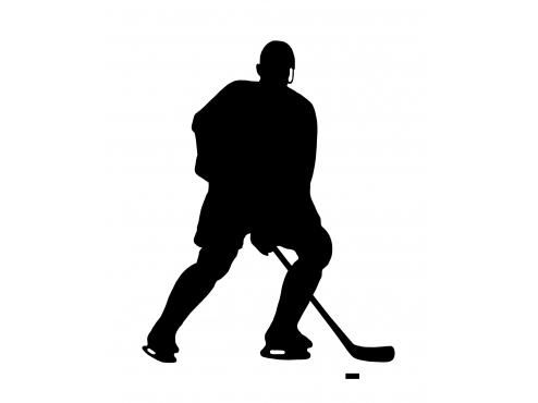 An update from the Tomahawks Hockey Operations Offices