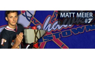 EXPERIENCE MATT MEIER!