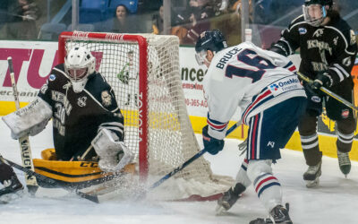 Tomahawks Down Brown Bears 3-1