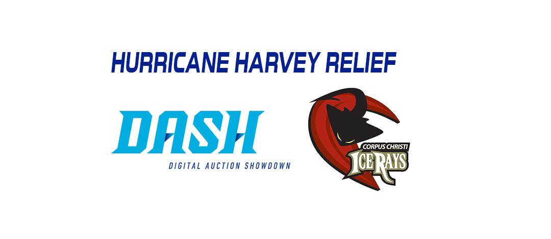 Tomahawks and DASH Auction Team Up to Support NAHL team