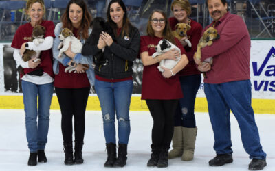 Tomahawks Prepare for 7th Annual Pucks and Paws Promotion