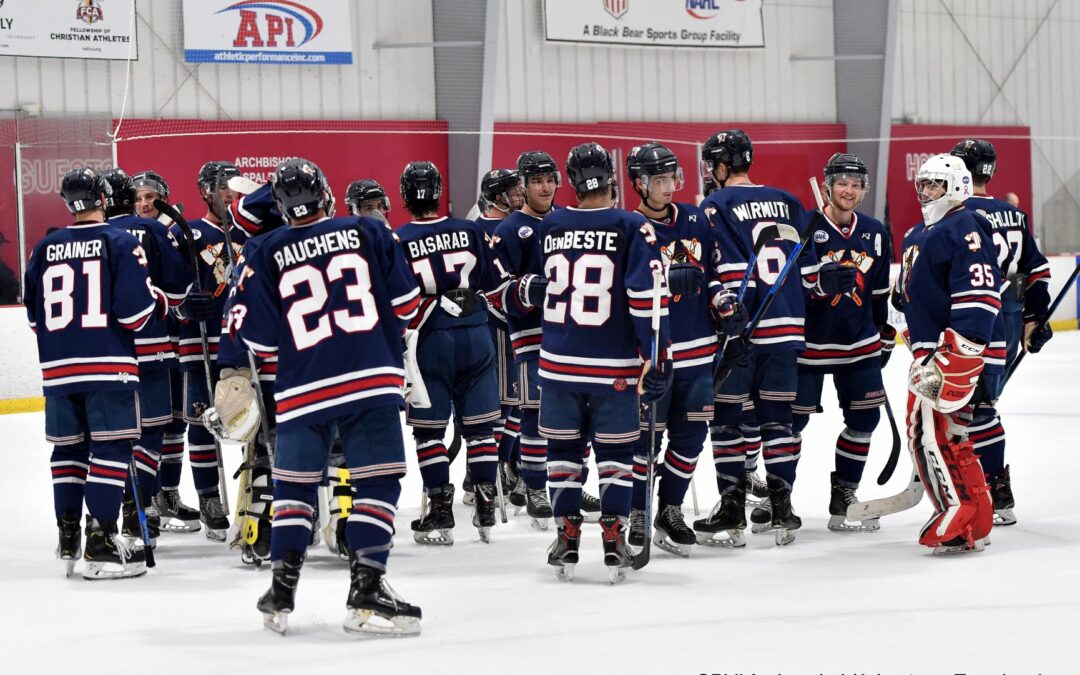 Tomahawks Split Road Series with Knights