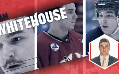 PROTECTING THE HOUSE