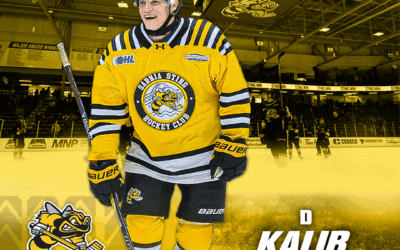 CAPECCI TAKES NEXT STEP, JOINS OHL’S SARNIA STING